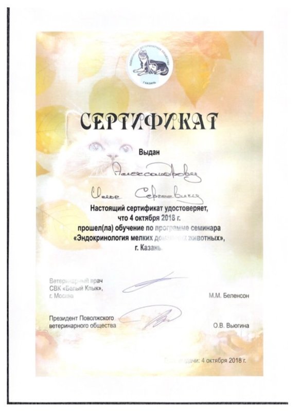 Документ или сертификат