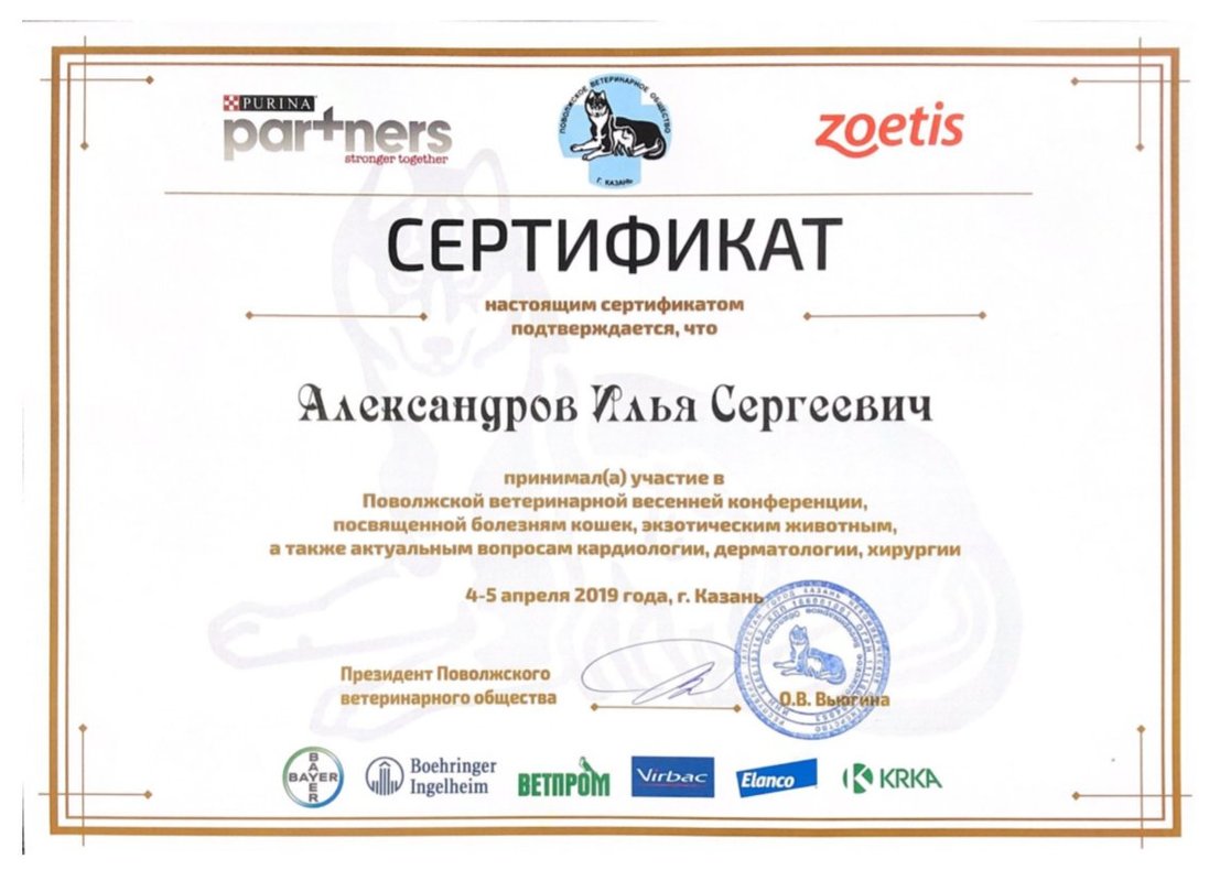 Документ или сертификат