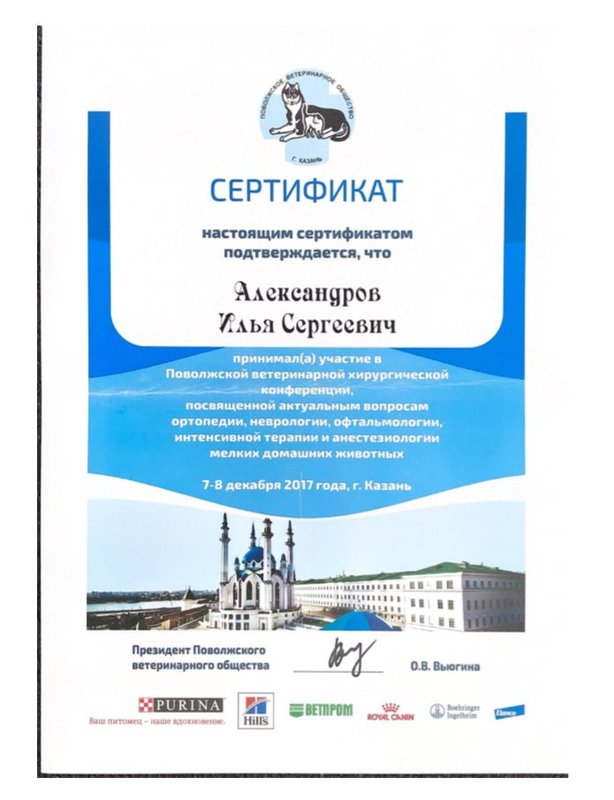 Документ или сертификат