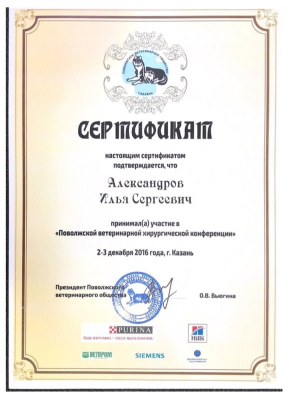 Документ или сертификат