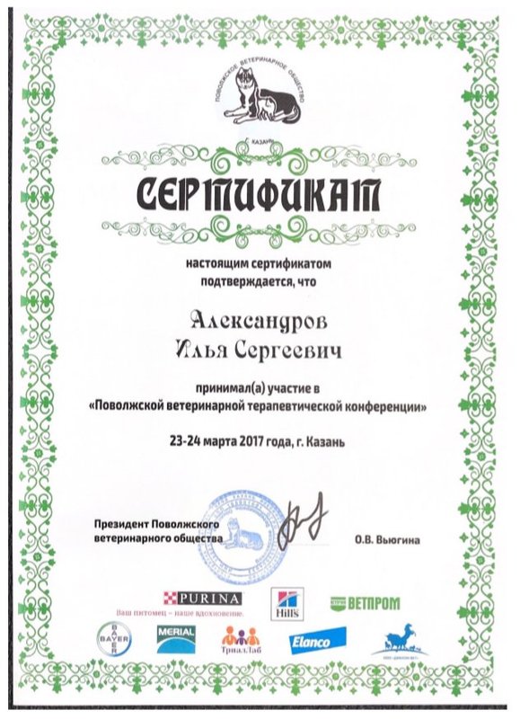 Документ или сертификат
