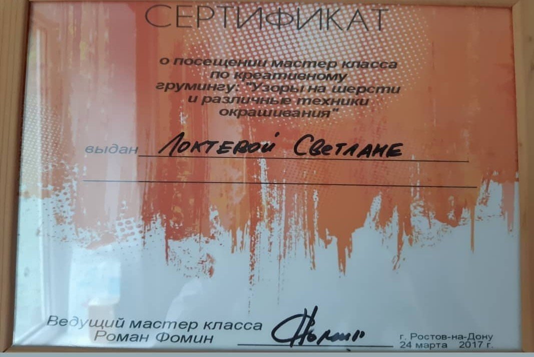 Документ или сертификат