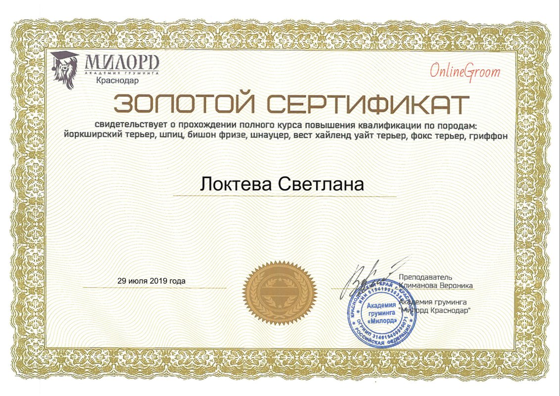 Документ или сертификат