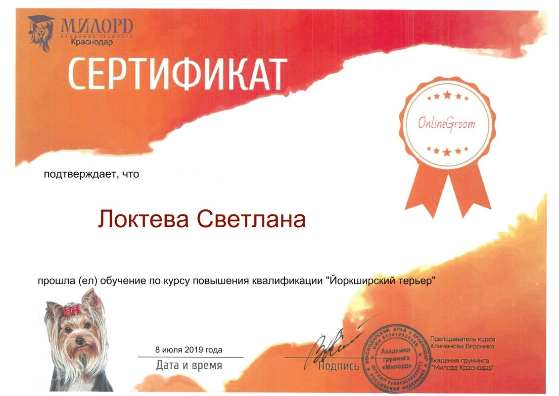 Документ или сертификат