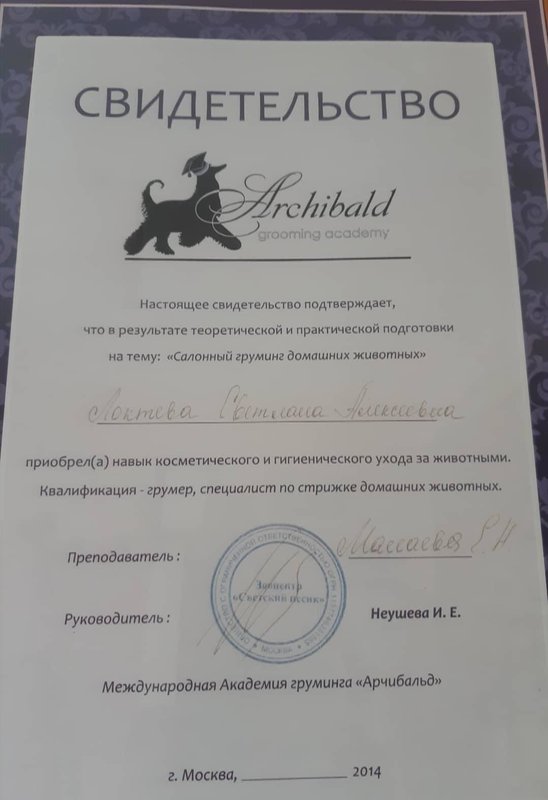 Документ или сертификат