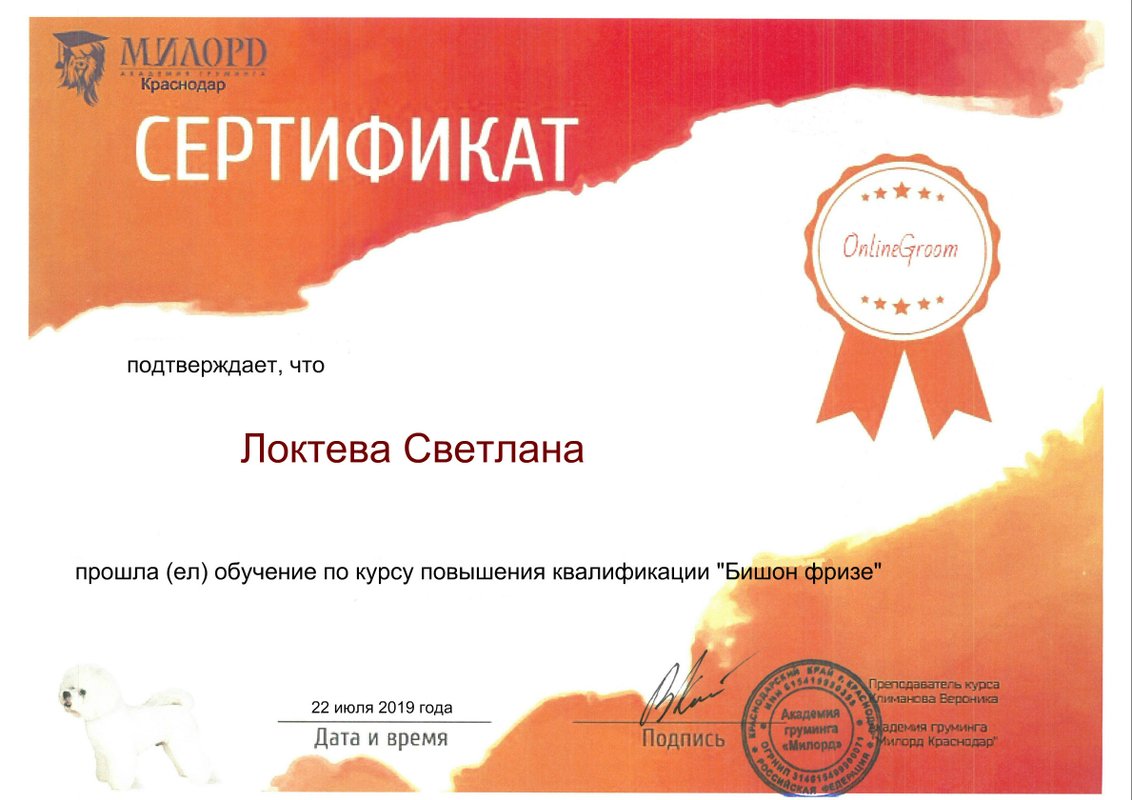 Документ или сертификат