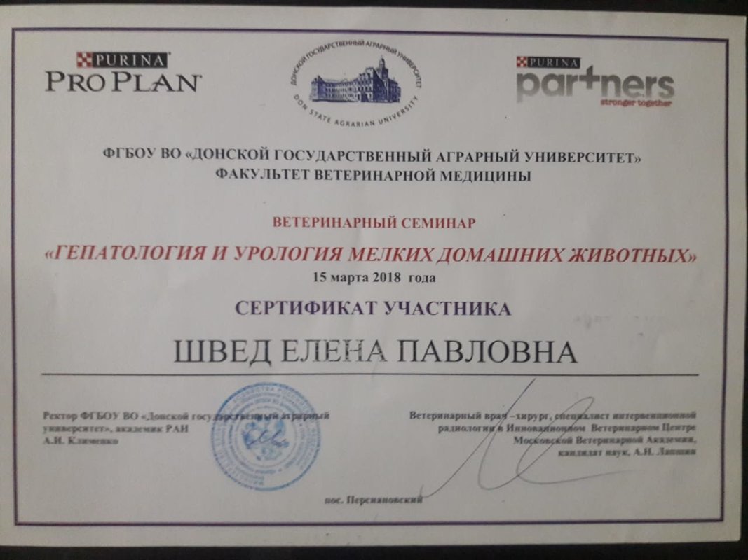 Документ или сертификат