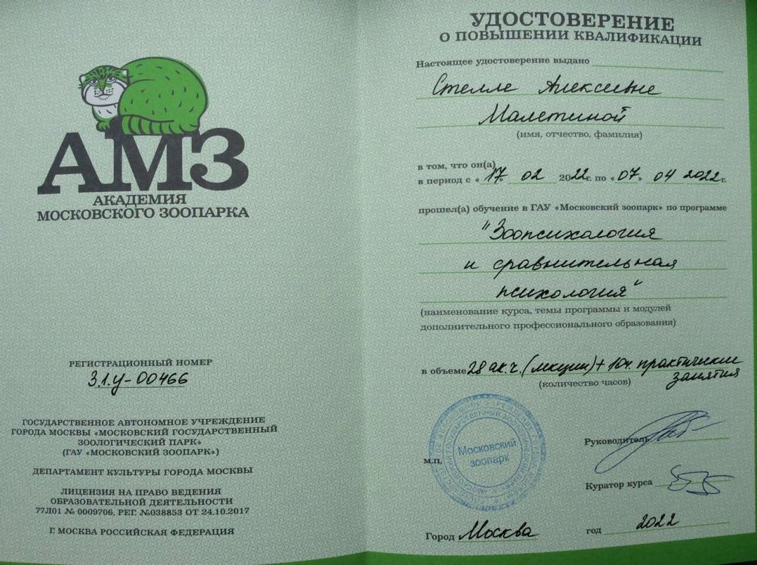 Документ или сертификат