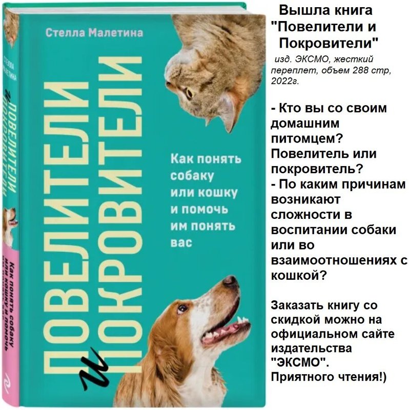 Фото врача