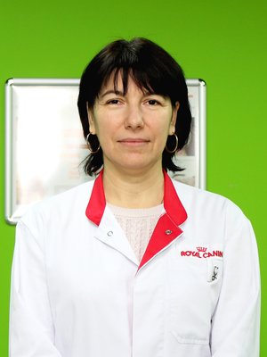 Фото врача Белова Елена Евгеньевна