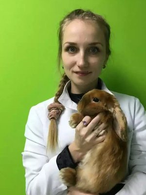 Фото врача Пыркина Елизавета Анатольевна