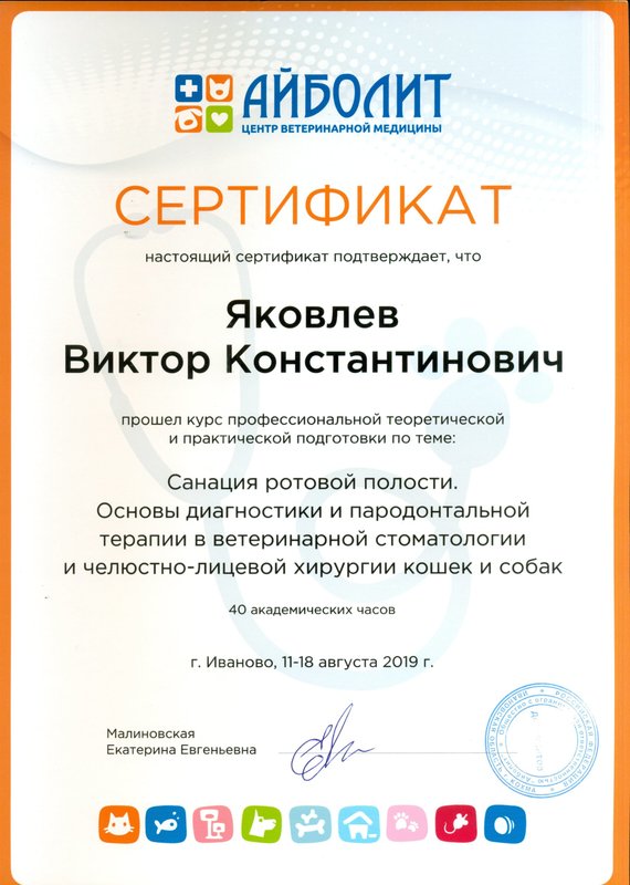 Документ или сертификат