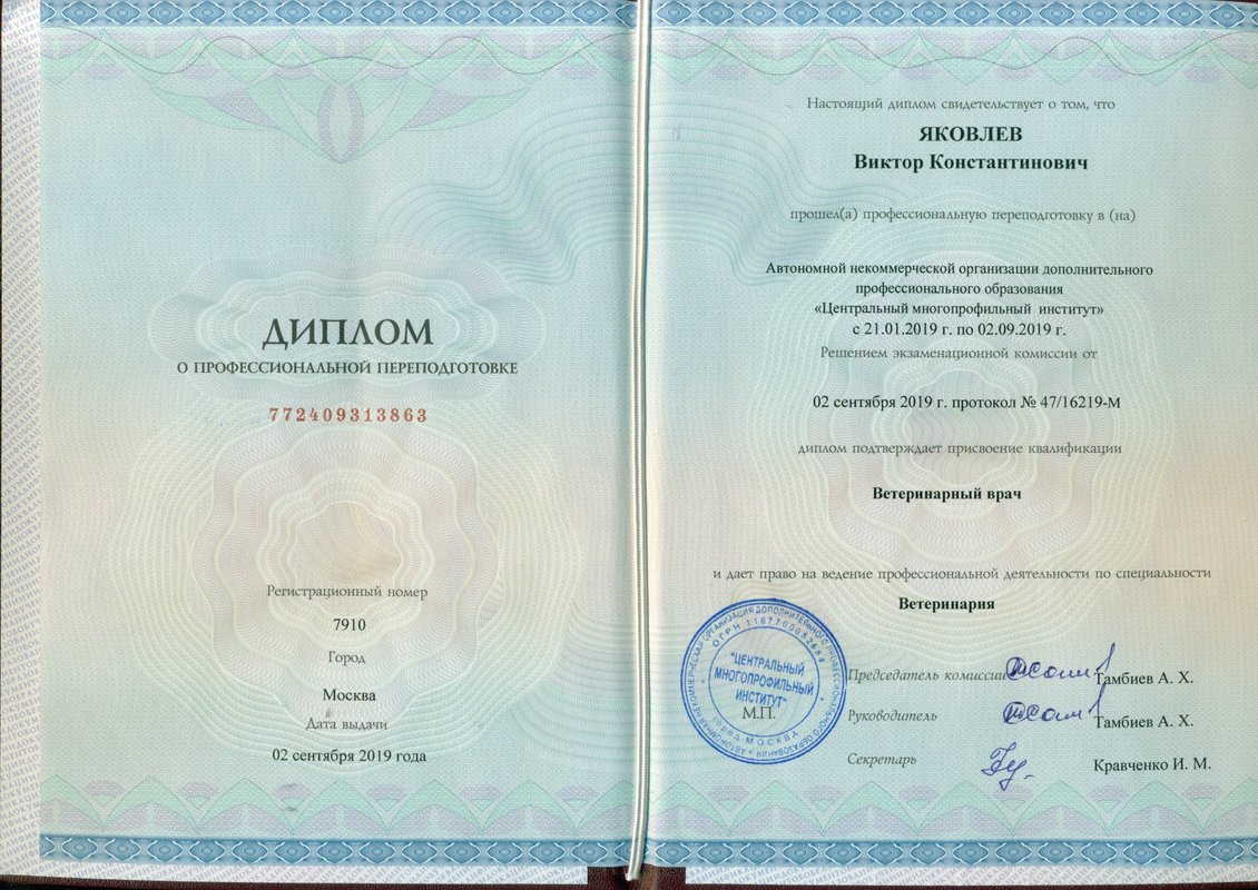 Документ или сертификат