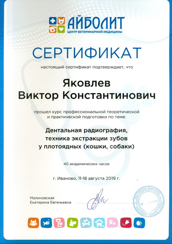 Документ или сертификат