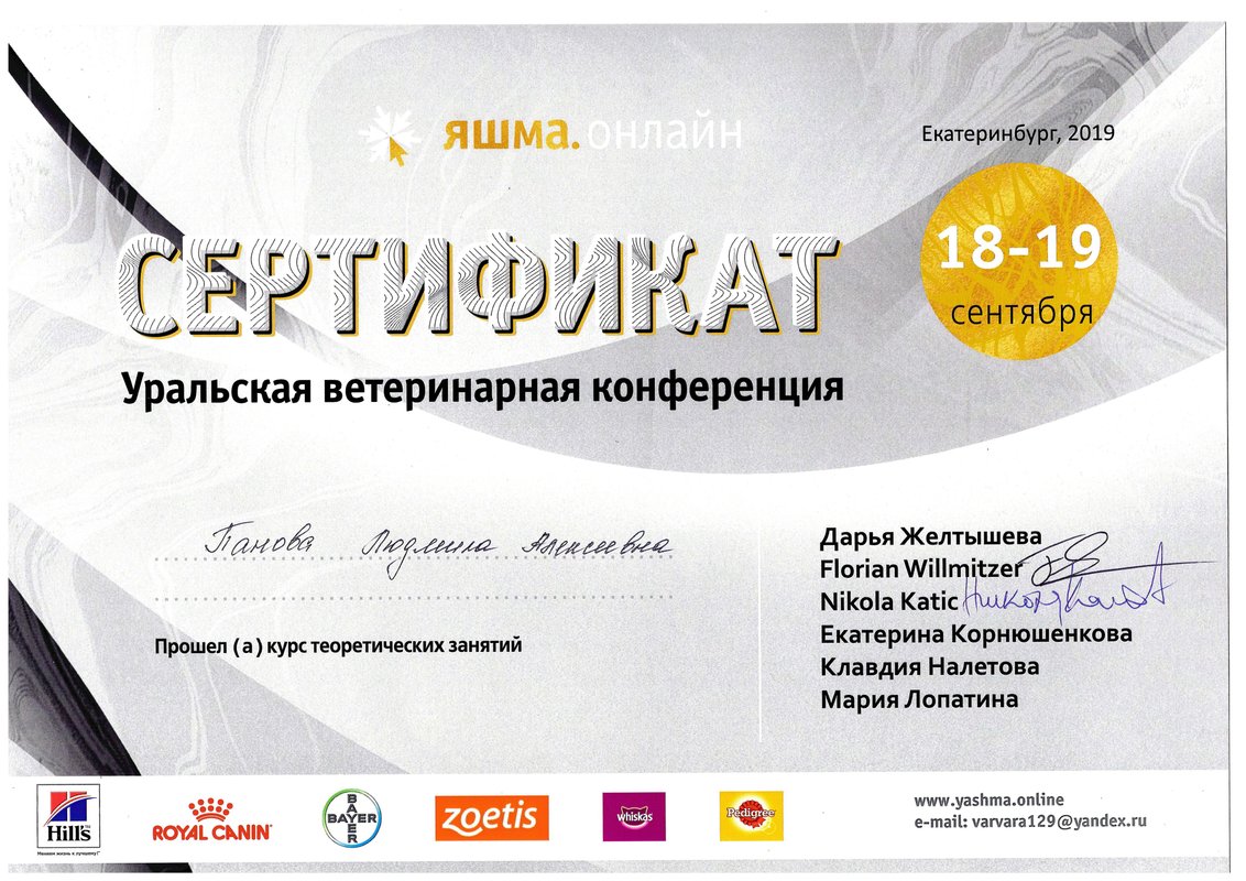 Документ или сертификат