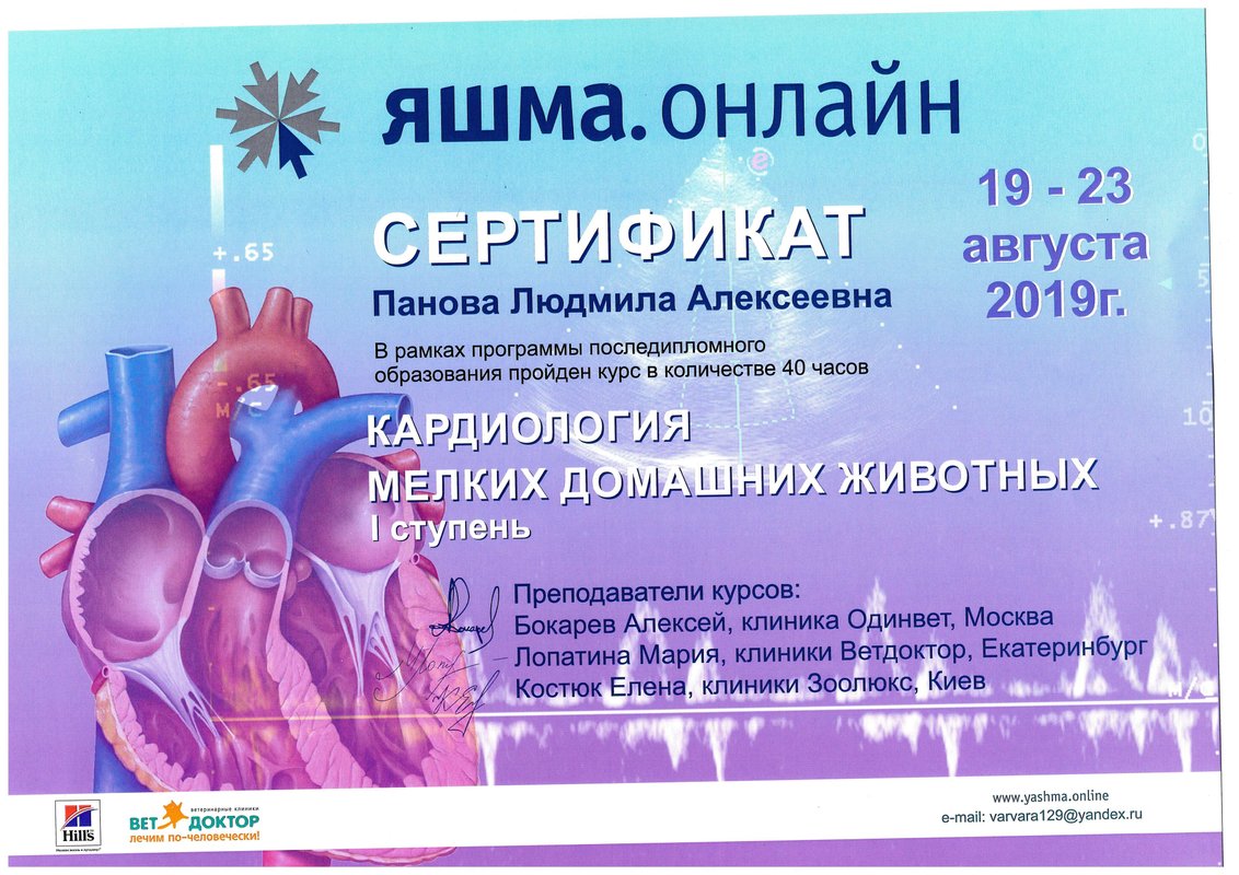 Документ или сертификат