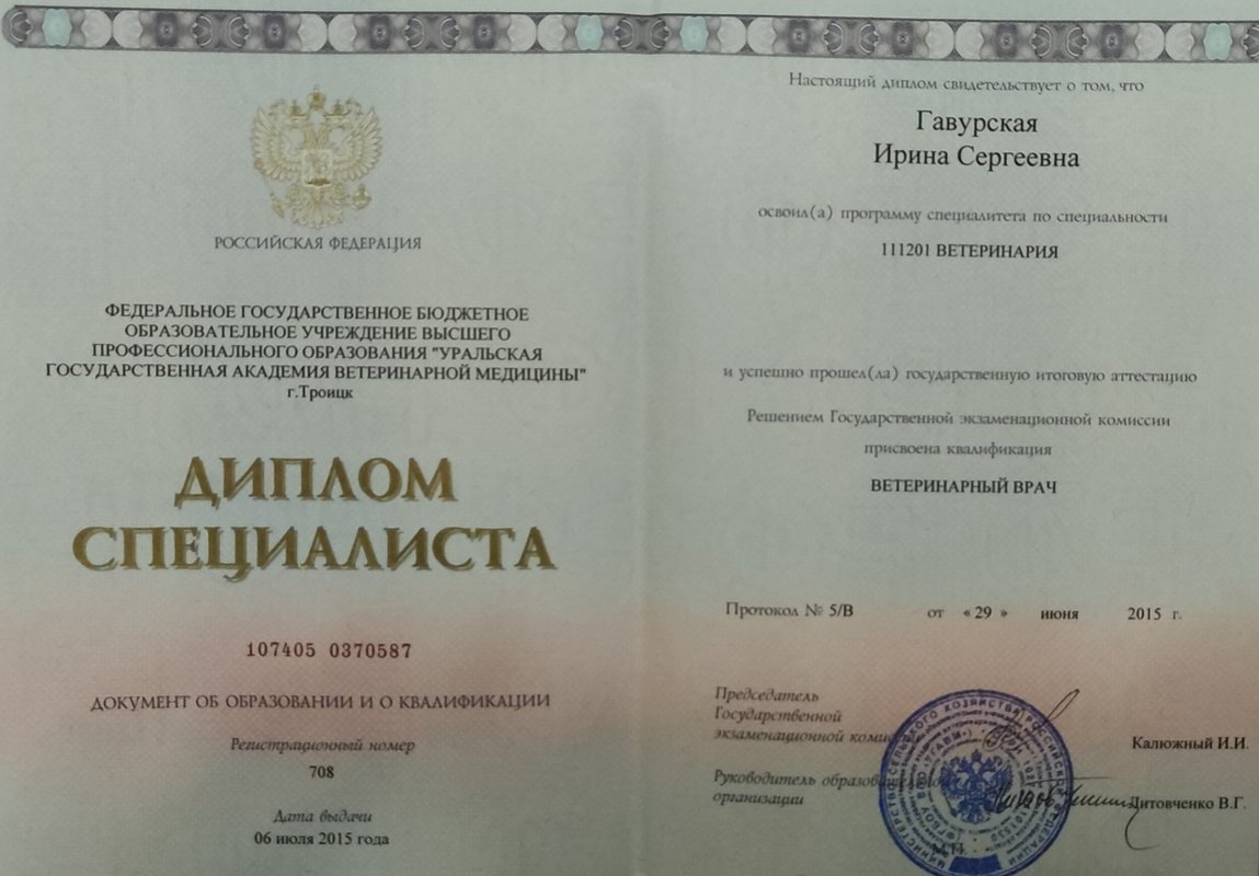Документ или сертификат