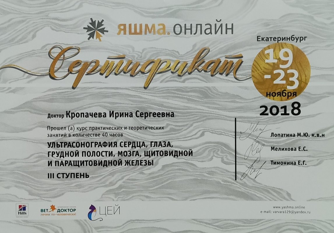 Документ или сертификат