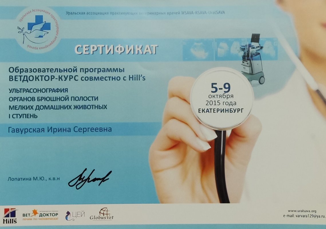 Документ или сертификат