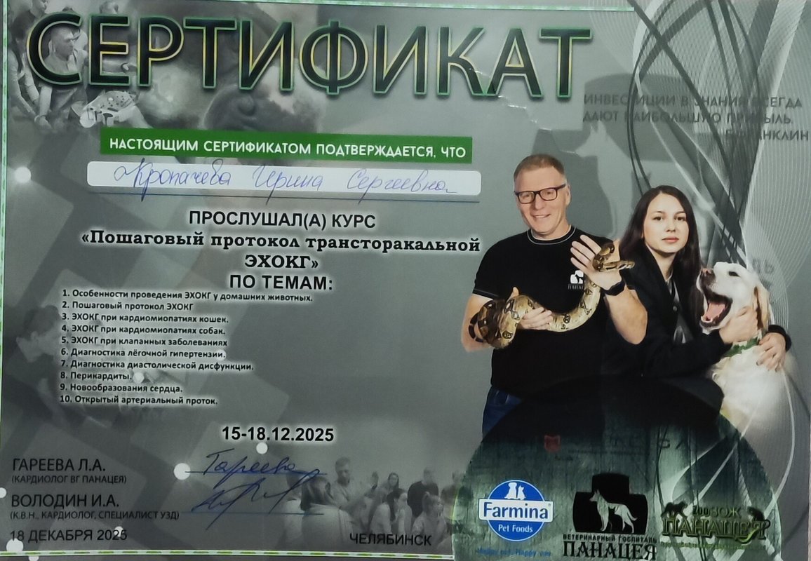 Документ или сертификат