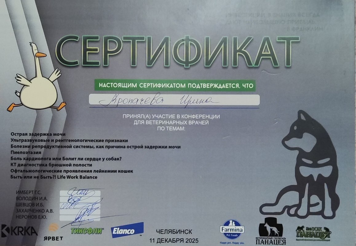 Документ или сертификат
