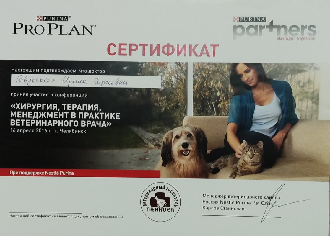 Документ или сертификат