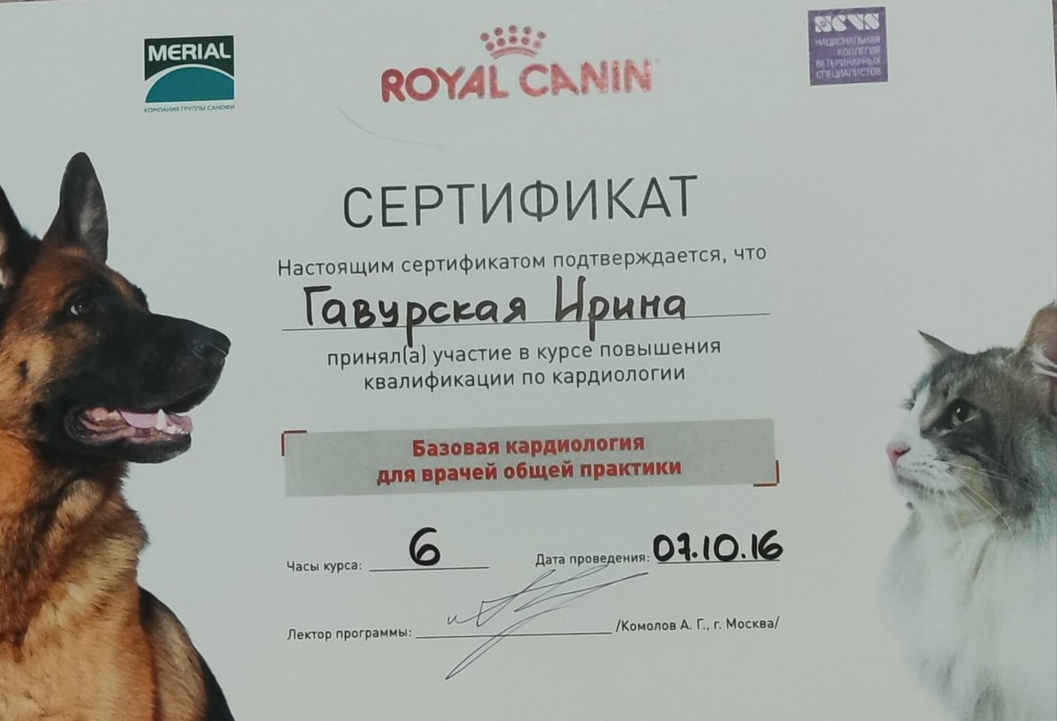 Документ или сертификат