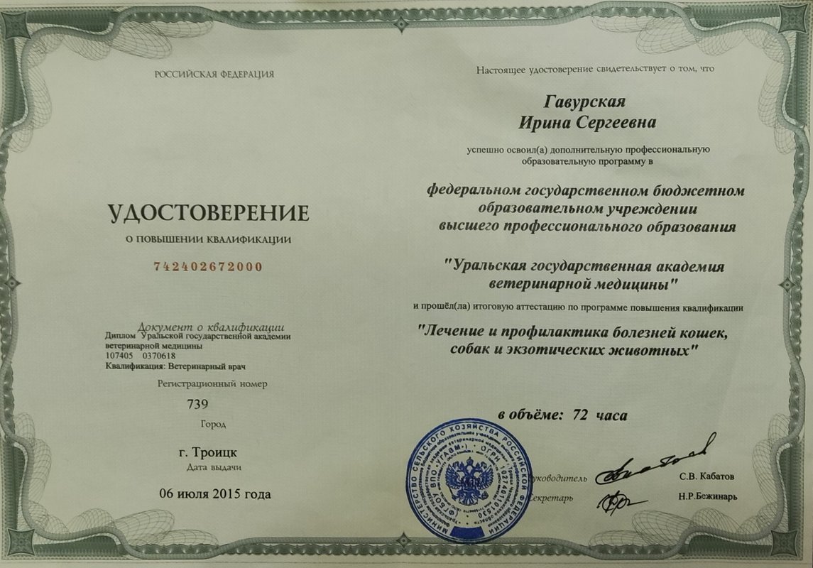 Документ или сертификат