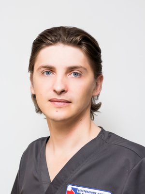 Фото врача Смородин Николай Александрович