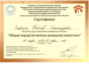 Документ или сертификат