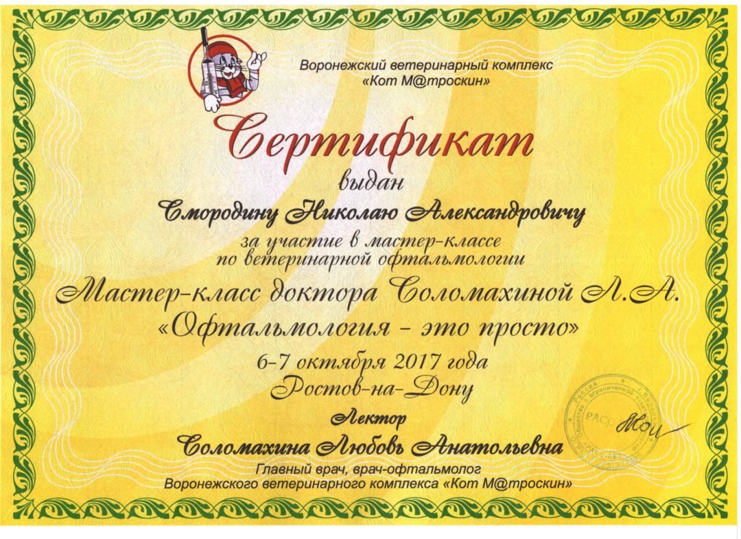 Документ или сертификат