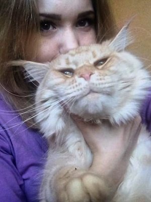 Фото врача Кузнецова Анна Анатольевна