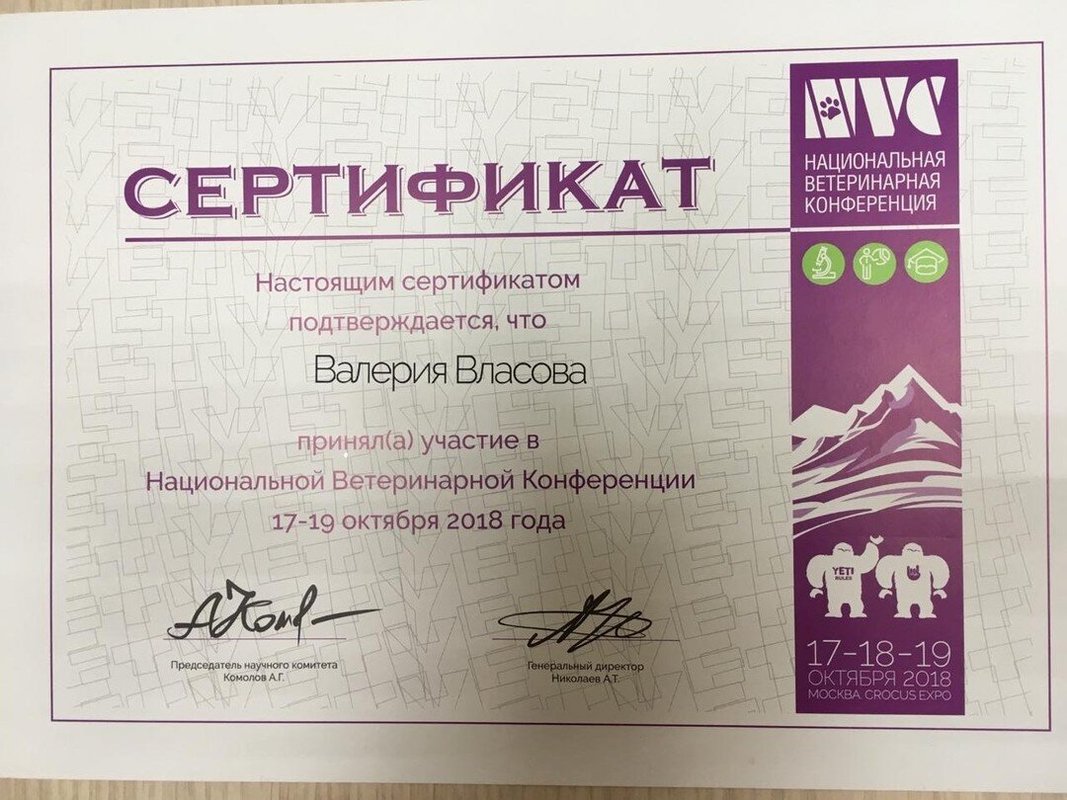 Документ или сертификат