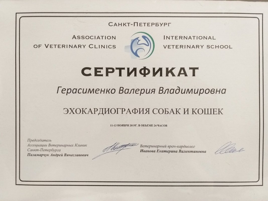 Документ или сертификат