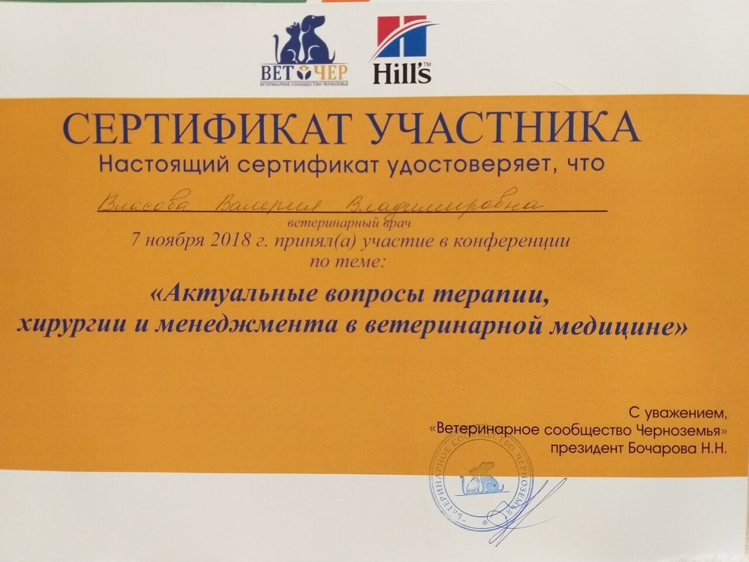 Документ или сертификат