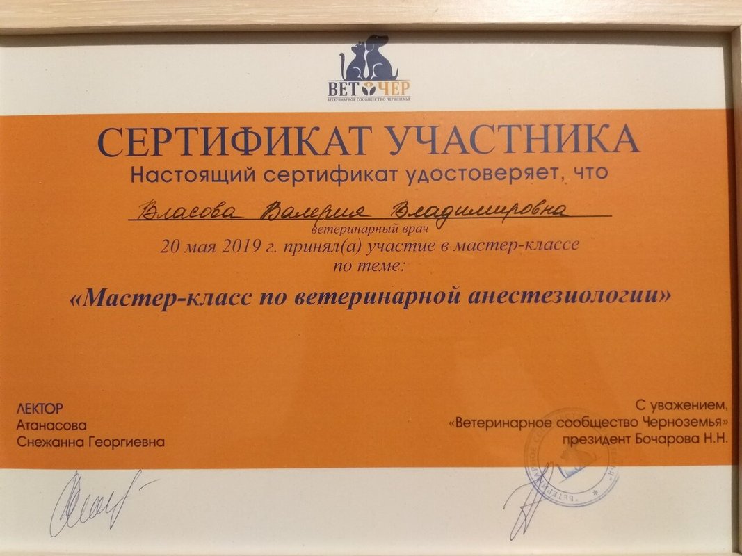 Документ или сертификат