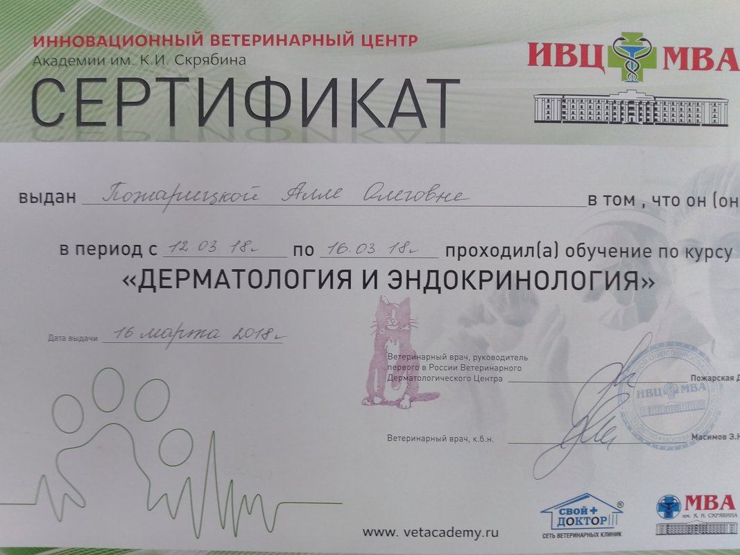Документ или сертификат