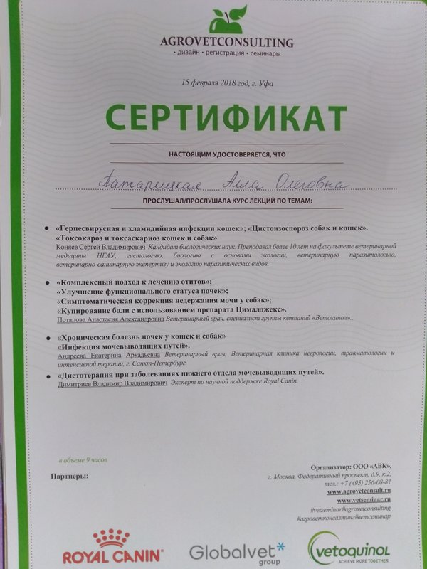Документ или сертификат