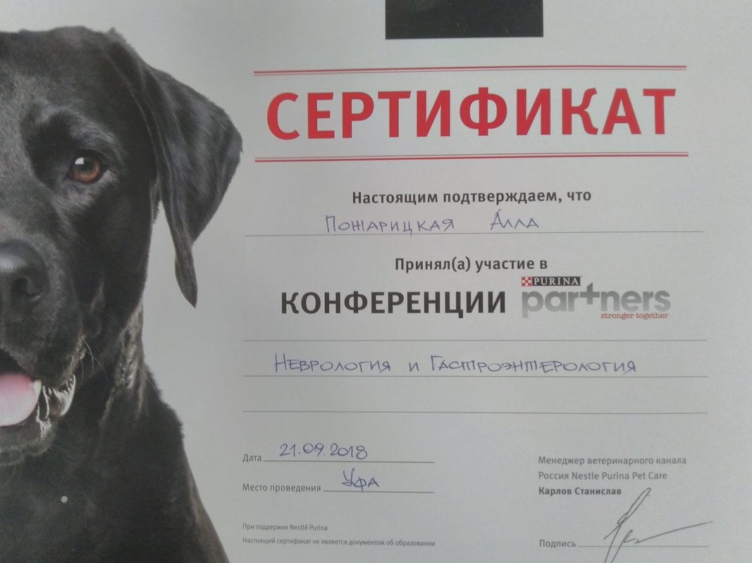 Документ или сертификат
