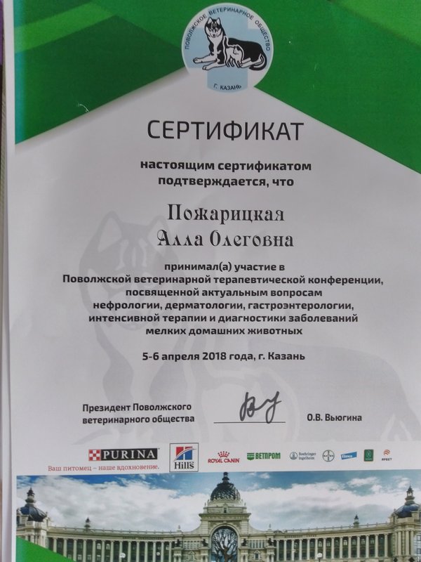 Документ или сертификат
