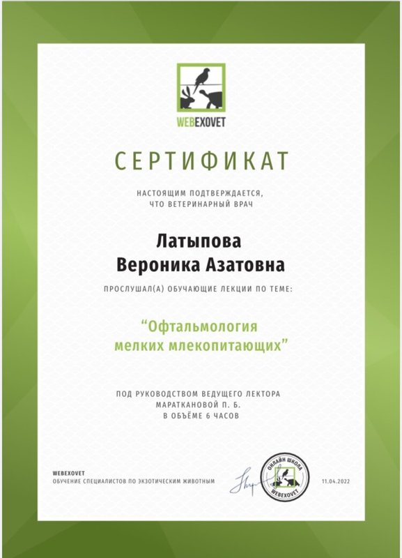 Документ или сертификат