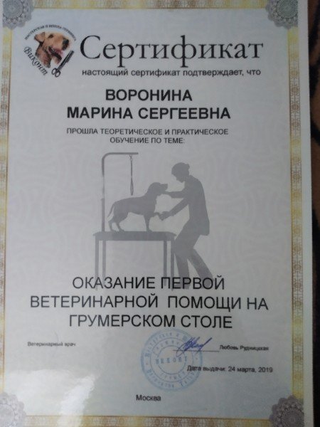 Документ или сертификат