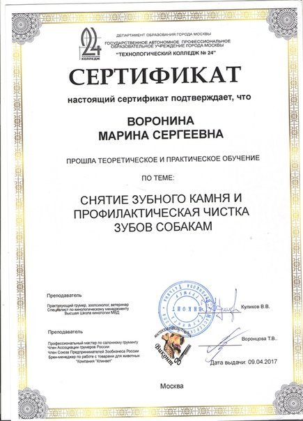 Документ или сертификат