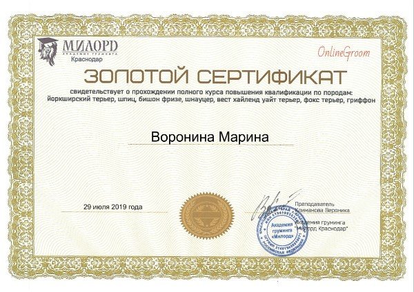 Документ или сертификат