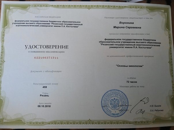 Документ или сертификат