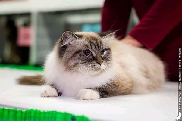 Фото врача
