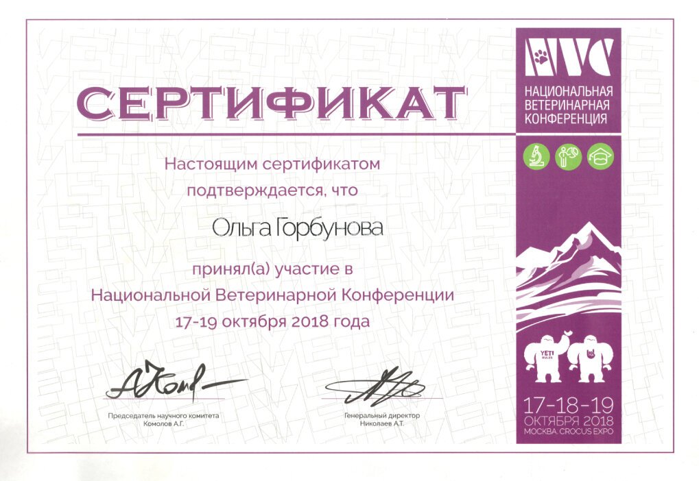 Документ или сертификат