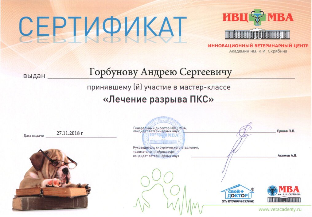 Документ или сертификат