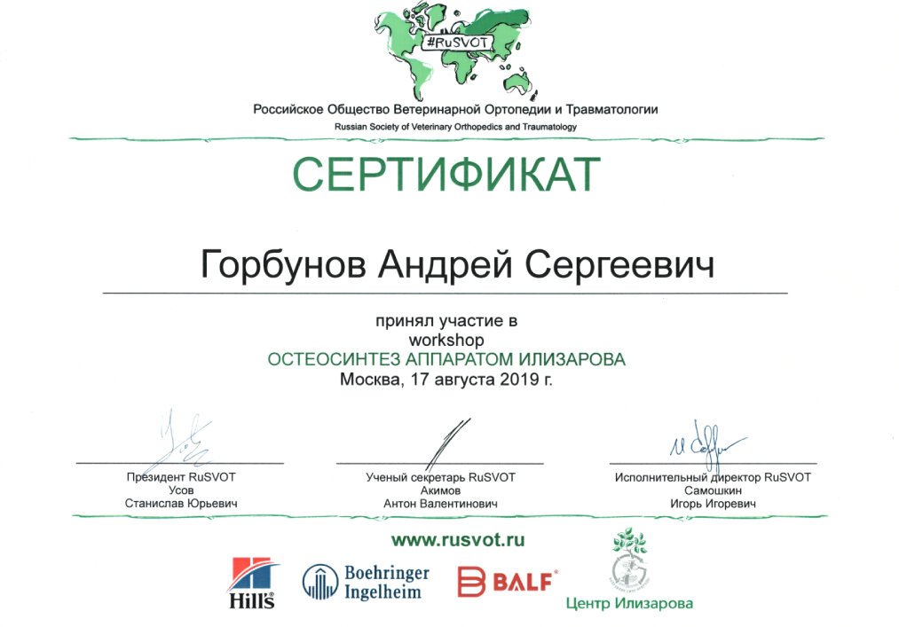 Документ или сертификат