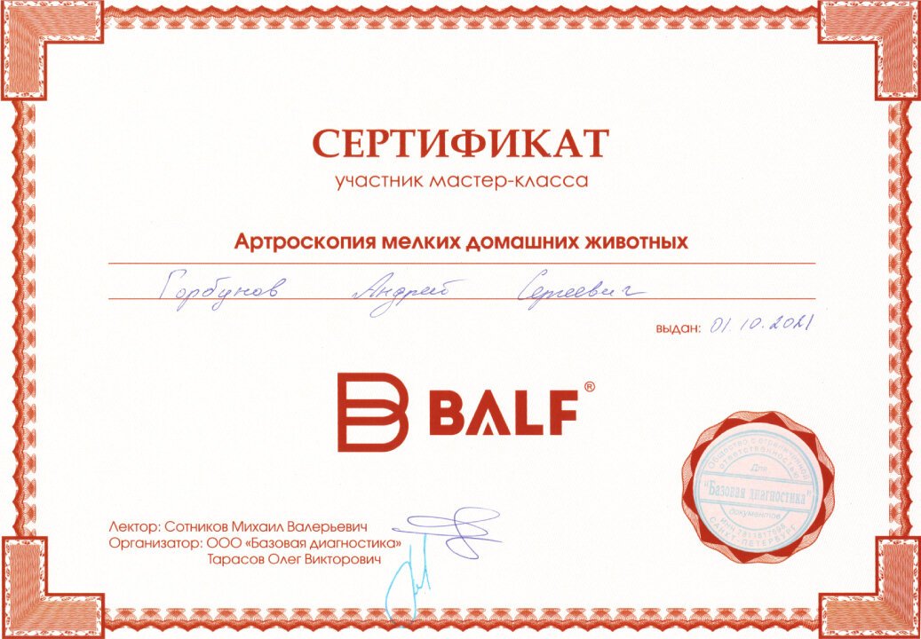 Документ или сертификат